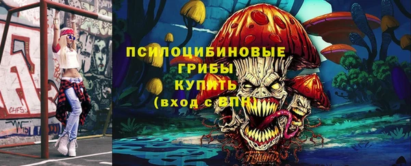 a pvp Лиски