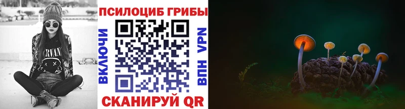 хочу   мега как войти  Псилоцибиновые грибы мицелий  Кызыл 