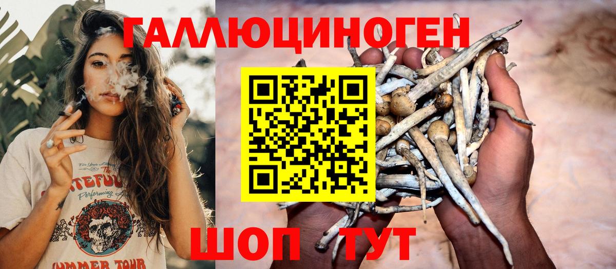 Псилоцибиновые грибы Magic Shrooms  Вход с VPN  Кызыл  Галлюциногенные грибы Magic Shrooms 